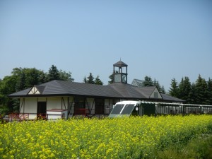 リリトレ＆菜の花＆駅舎