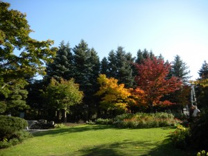 ポートランド庭園2