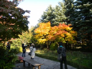 ポート撮影風景