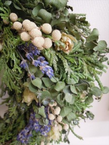 lavender and eucalyptus UP_R