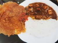 カレー春巻きの皮トッピング