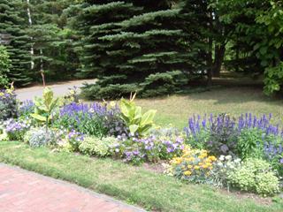 温室前花壇の様子・青色の花壇