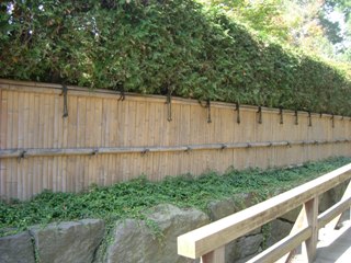 Ginkaku-ji-gaki(hedge)