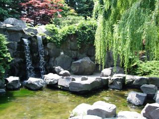 Waterfalls  and Steppingstones