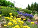 The Rock Gardens／ The Heather Garden