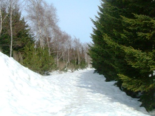 外周園路の積雪