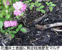 Surface of flower beds are overlaid with mulch made from crushed branch of tree.