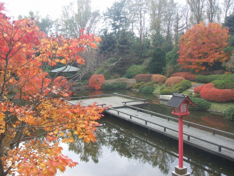 日本庭園水舞台
