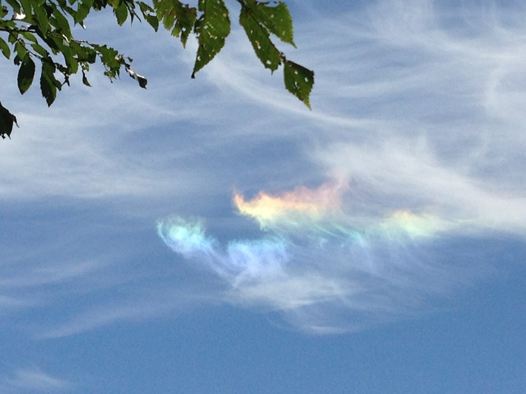 百合が原公園の青空に虹の雲？！