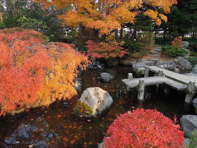 世界の庭園は11/3(火)で閉園となりました