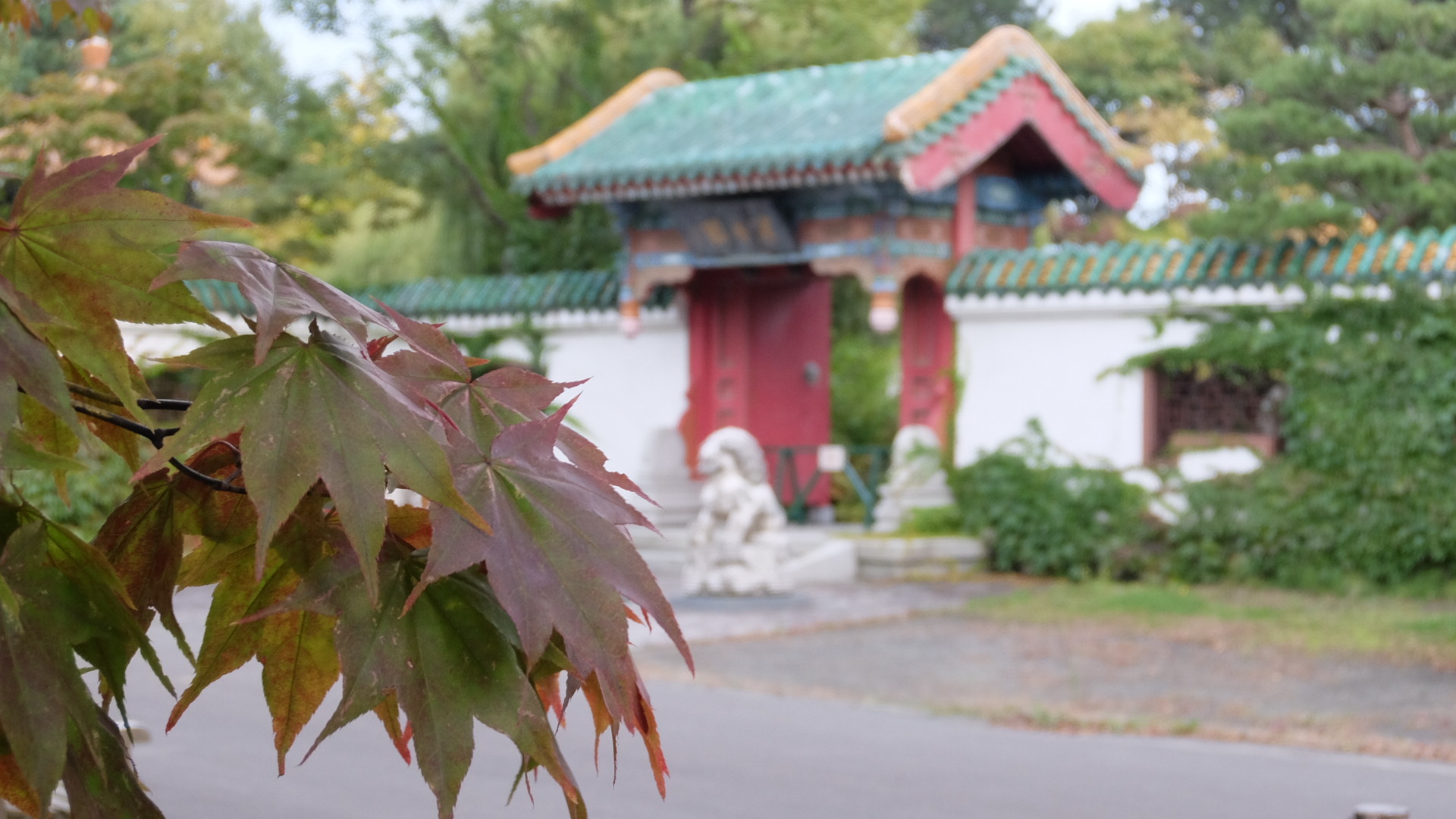 紅葉の庭園ツアー　開催します