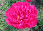 DSCF9300-150x110.jpg