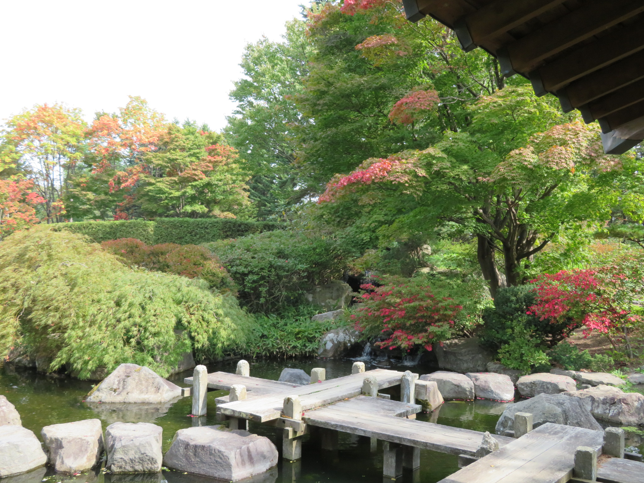 世界の庭園無料開放しています