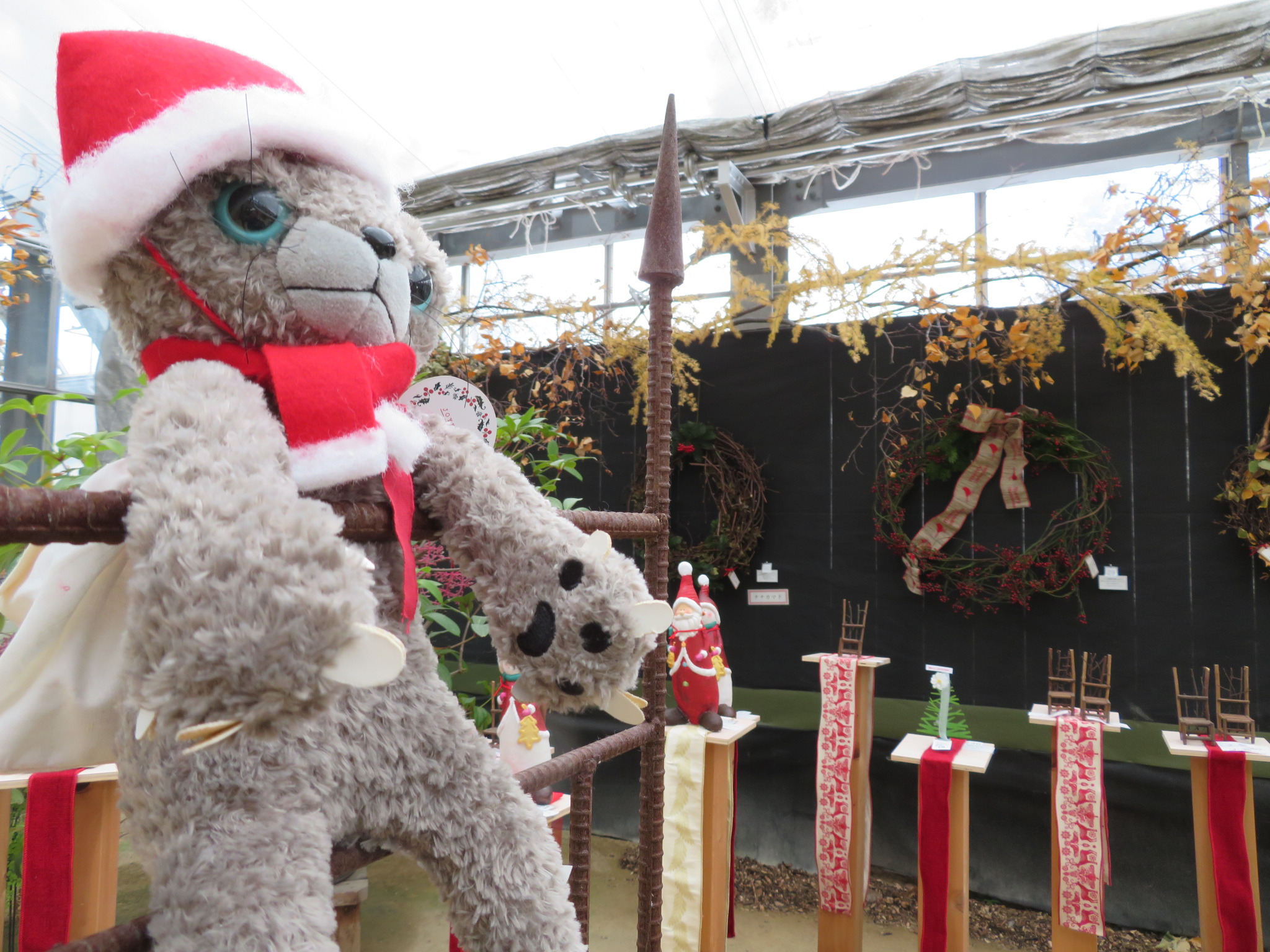 クリスマスディスプレイ展、大好評です！