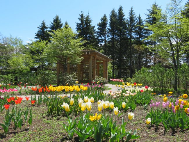 春のポートランド庭園