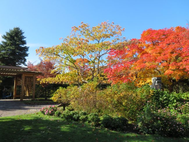 秋のポートランド庭園