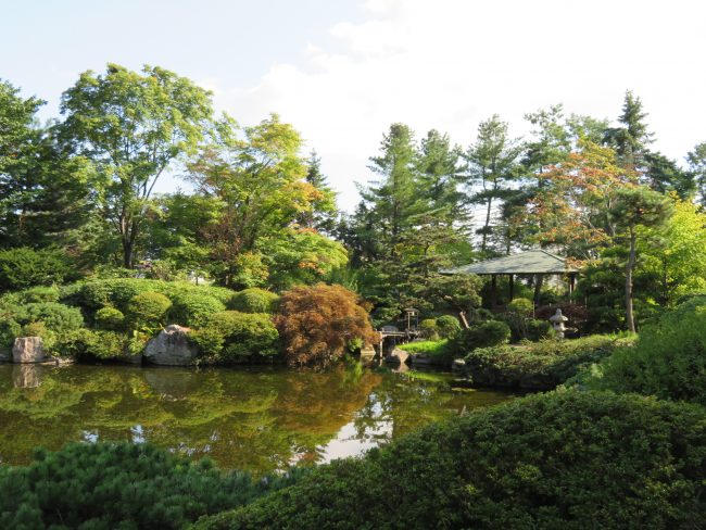 夏の日本庭園