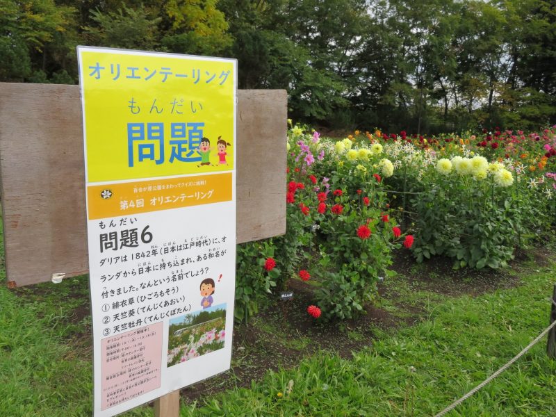 オリエンテーリング「百合が原公園の秋」にご参加いただきありがとうございました！