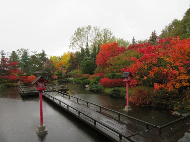 紅葉が楽しめる日本庭園　水舞台