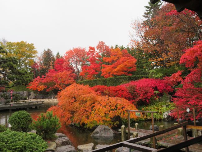 日本庭園四阿からは美しい紅葉が目の前に広がる