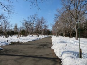 公園南側の園路はアスファルトも出て歩きやすい