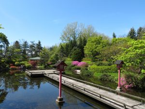 春先の日本庭園