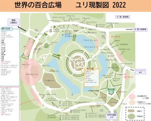 世界の百合広場　ユリ現製図2022