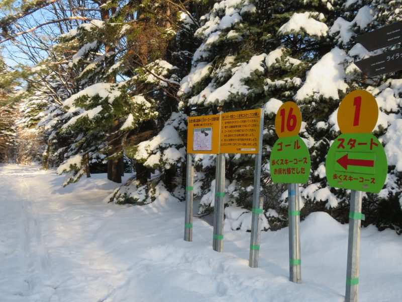百合が原公園「歩くスキーコース」開放のご案内