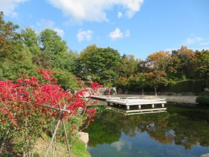 世界の庭園内の日本庭園では木々の紅葉も始まっている