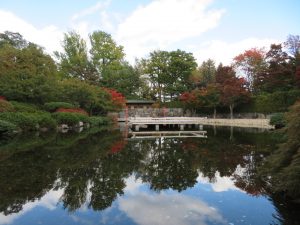 日本庭園の紅葉の様子