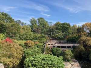 木々の葉も赤や黄色に変化してきた日本庭園