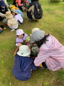 保育園の子ども達が花苗の植え込み4