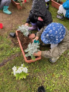 保育園の子ども達が花苗の植え込み2