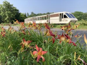 ヘメロカリスの花壇横を通過するリリートレイン