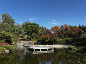 世界の庭園の日本庭園