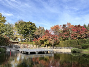 日本庭園の紅葉