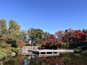 日本庭園の水舞台