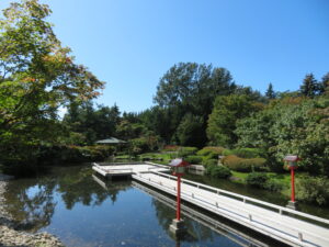 日本庭園の様子