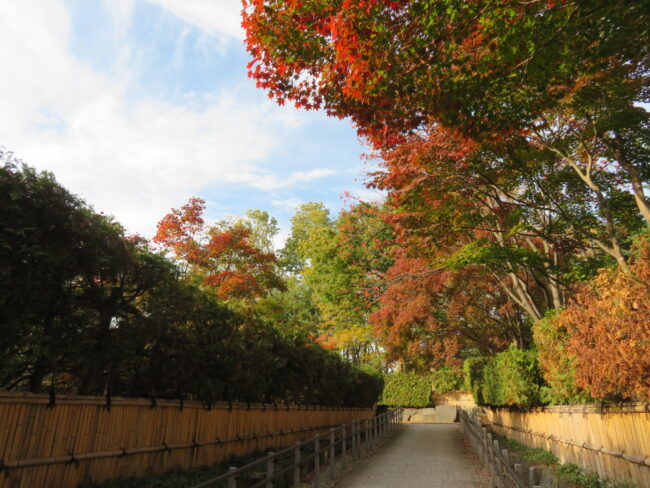 百合が原公園、紅葉情報（2024年10月22日）