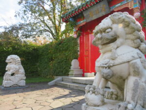 中国の庭園、瀋芳園ではツタの葉も色づき出してきた