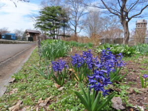 世界の庭園のボーダー花壇