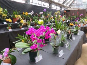 昨年度の市民ラン展会場の様子