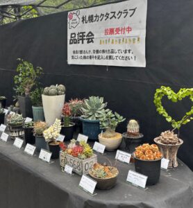 品評会に出展されている作品の数々