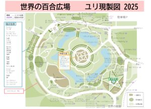 2025年ユリの現製図