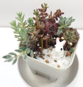 多肉植物を使ったミニチュアガーデンづくり