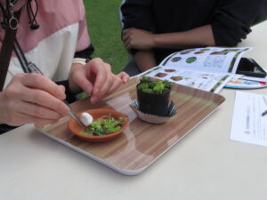 多肉の寄せ植え製作中
