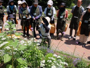 6.28花壇手入れの方法を指導
