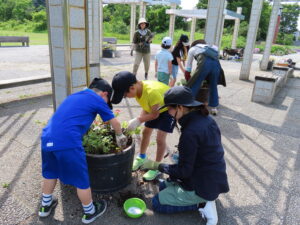 樽鉢の植え込み風景