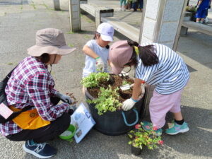 植え込み風景2
