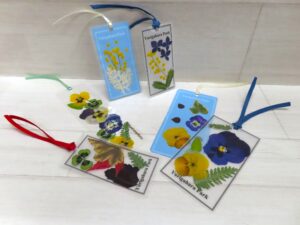 押し花の栞（見本）